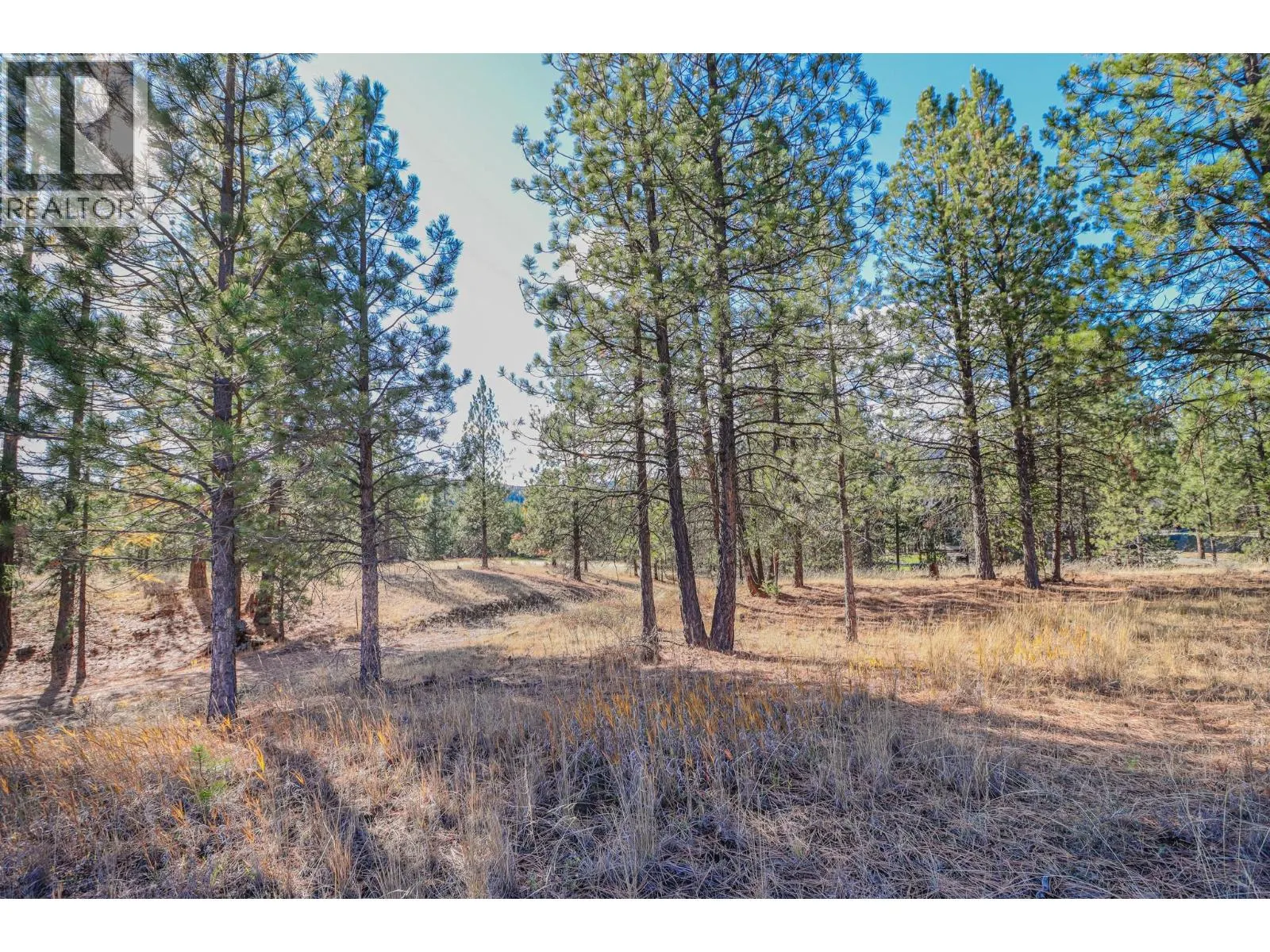 208 CORRAL Boulevard