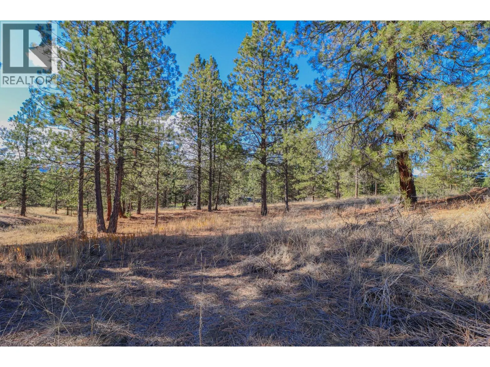 208 CORRAL Boulevard