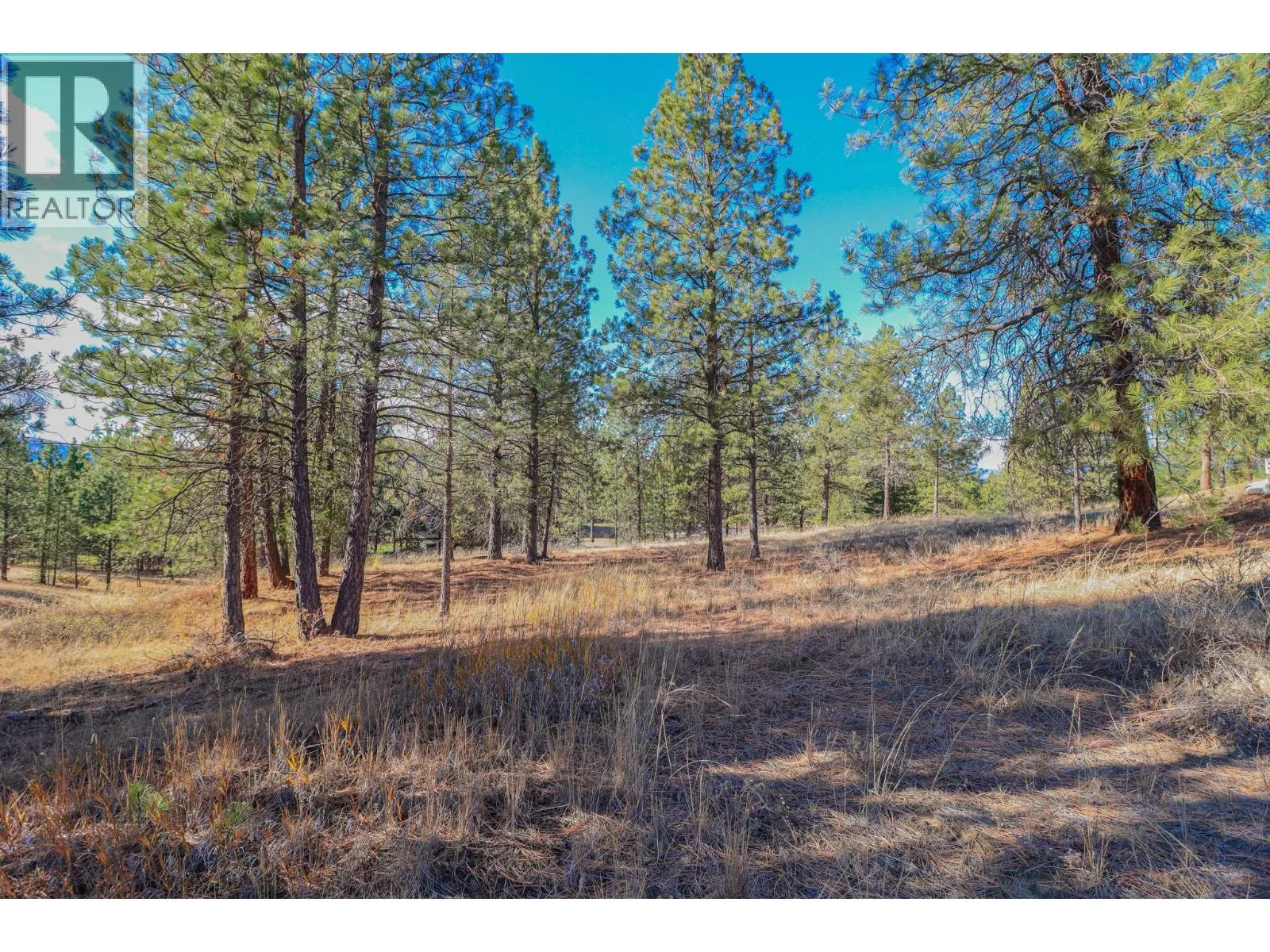 208 CORRAL Boulevard