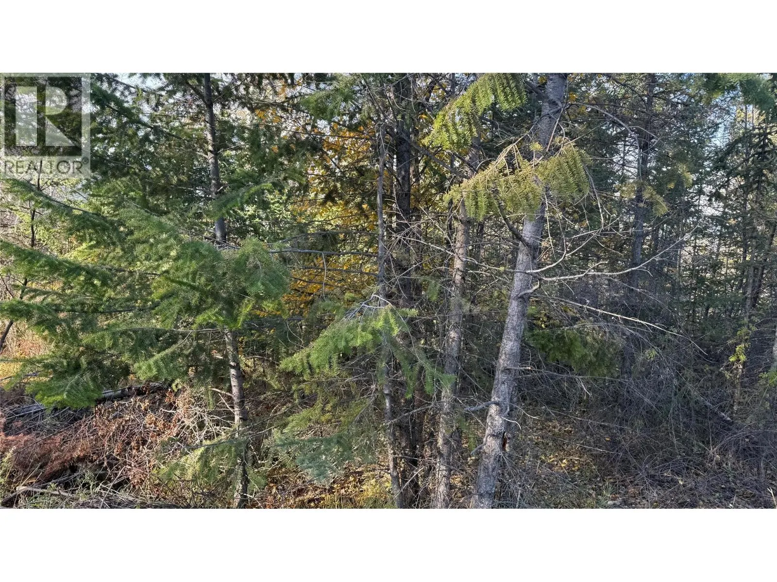 5185 Hot Springs Road