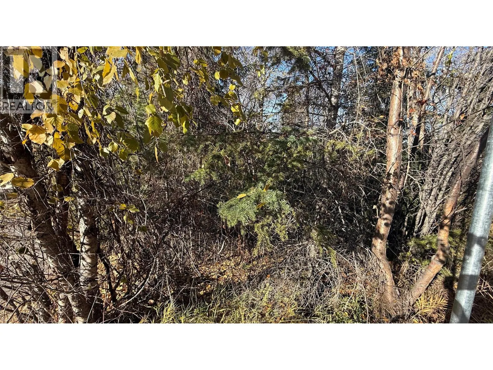 5185 Hot Springs Road