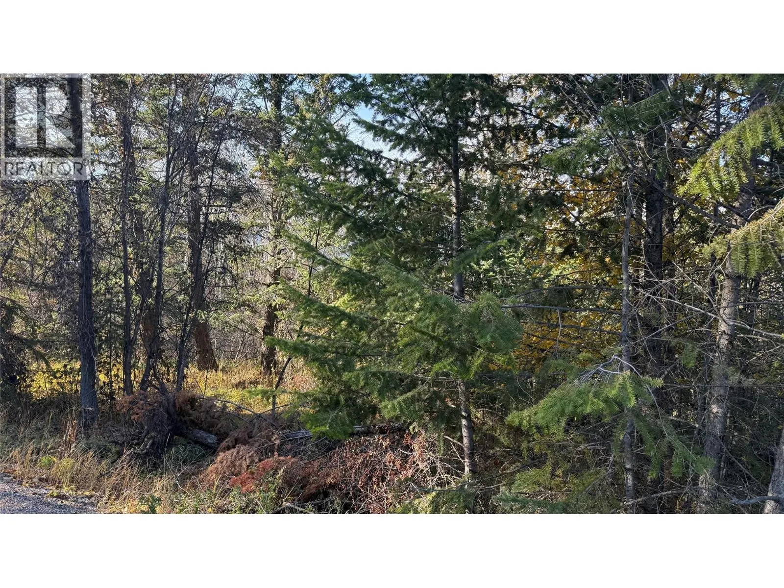 5185 Hot Springs Road