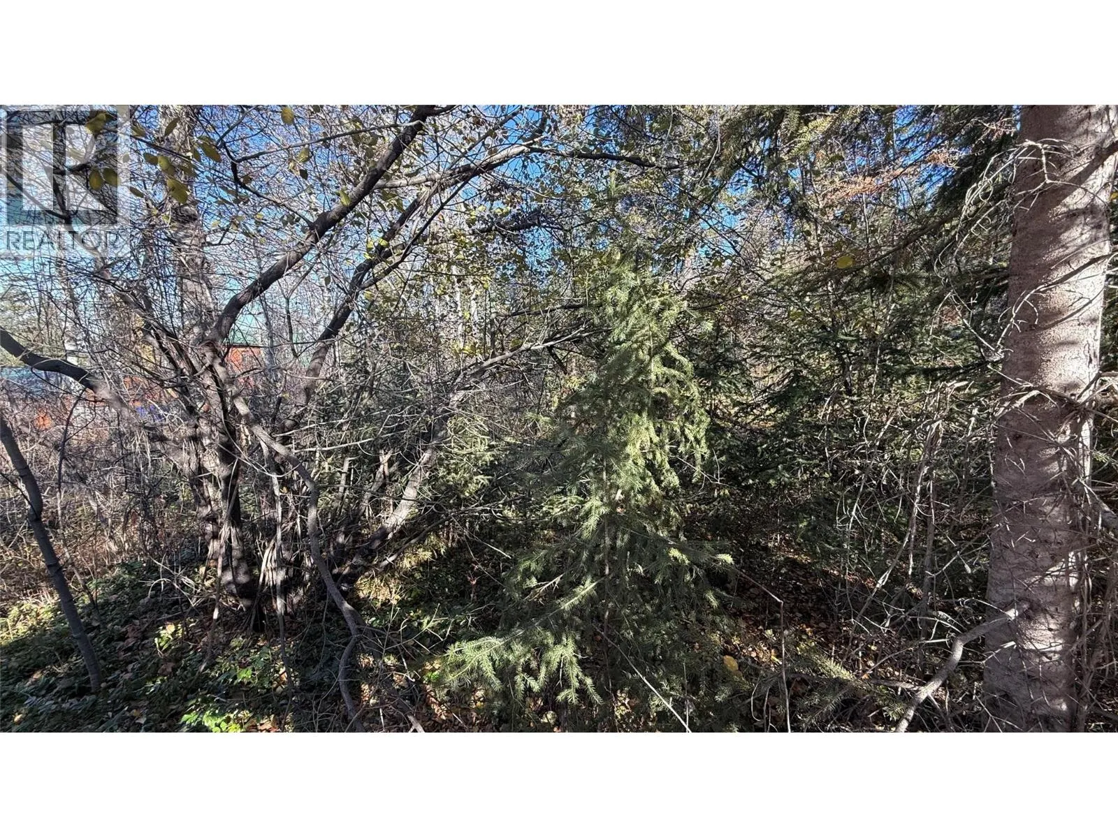 5185 Hot Springs Road