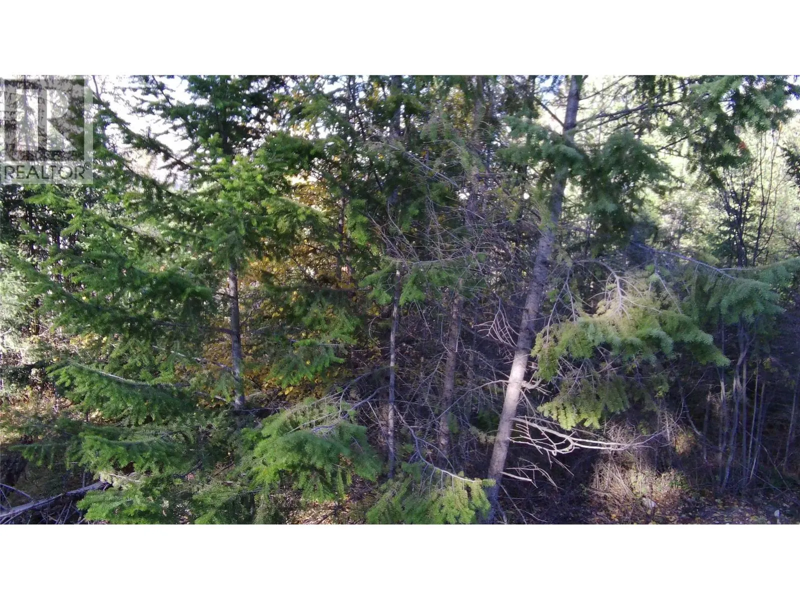 5185 Hot Springs Road