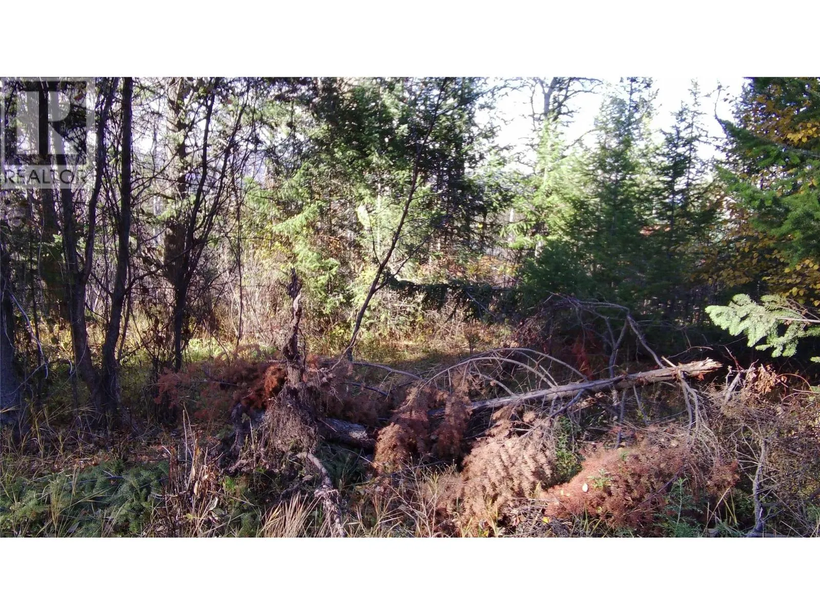 5185 Hot Springs Road