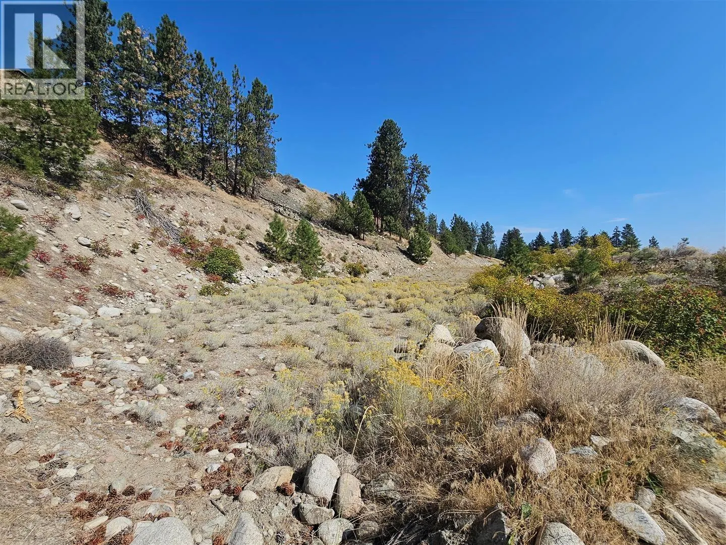 Lot 1 Ponderosa Drive