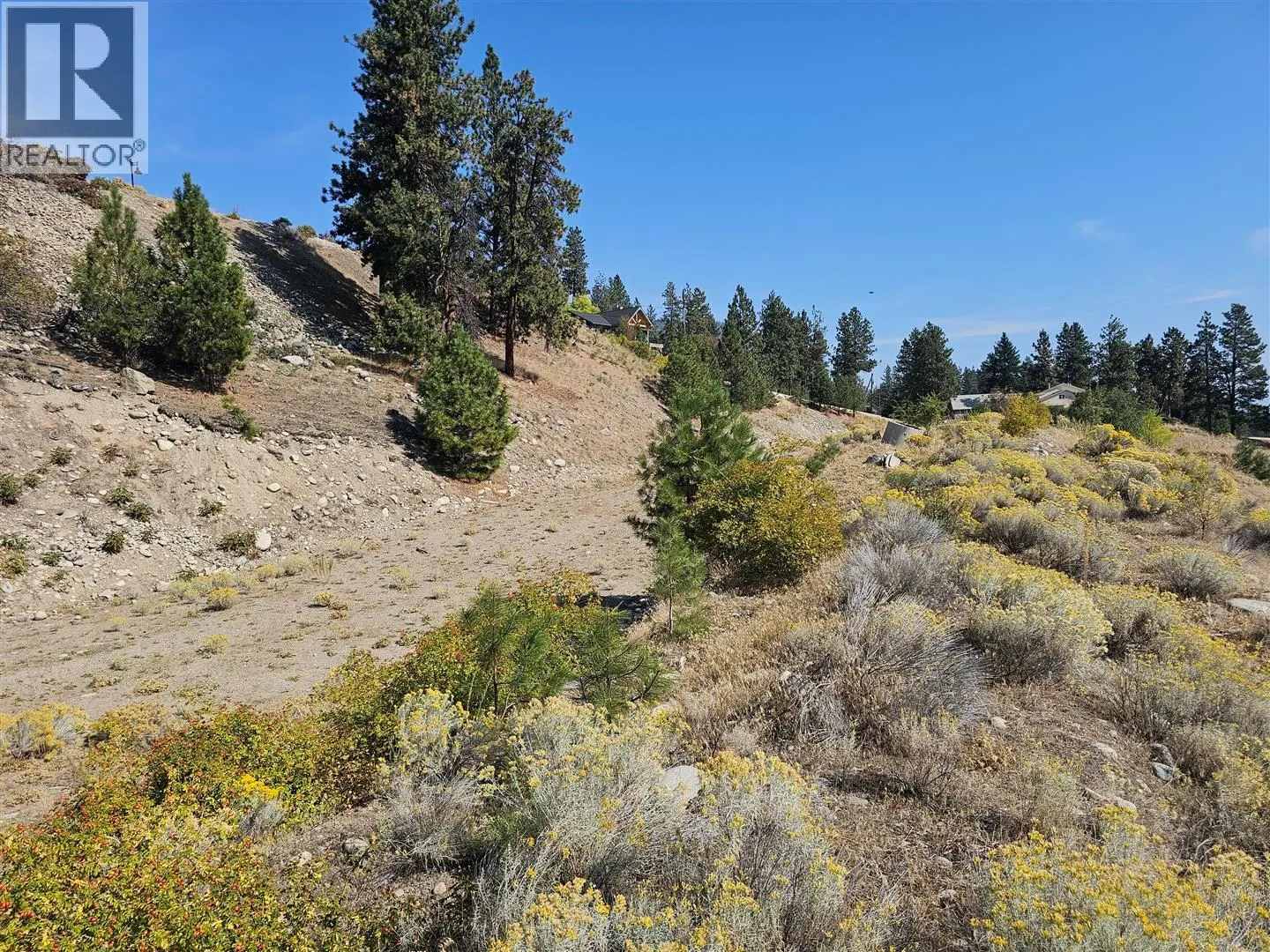 Lot 1 Ponderosa Drive