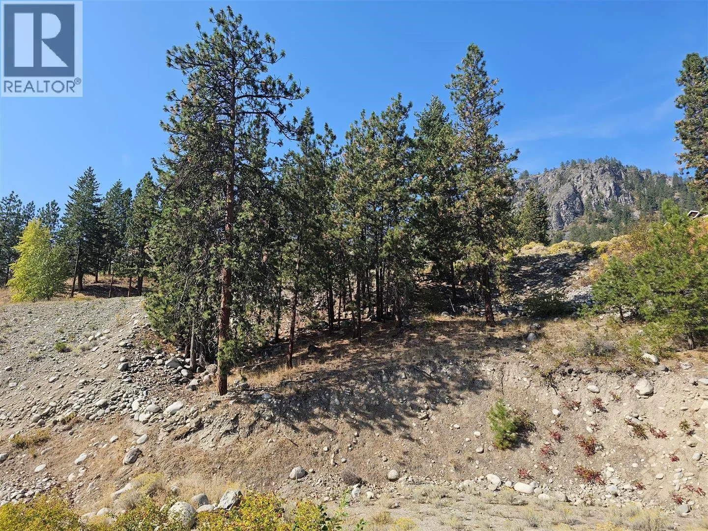 Lot 1 Ponderosa Drive