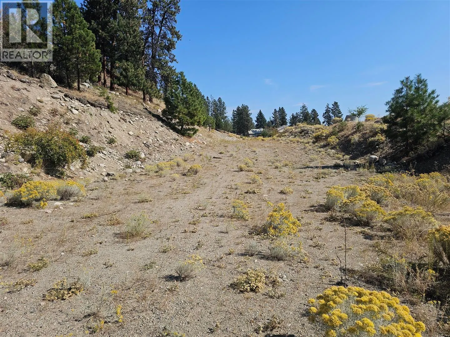 Lot 1 Ponderosa Drive