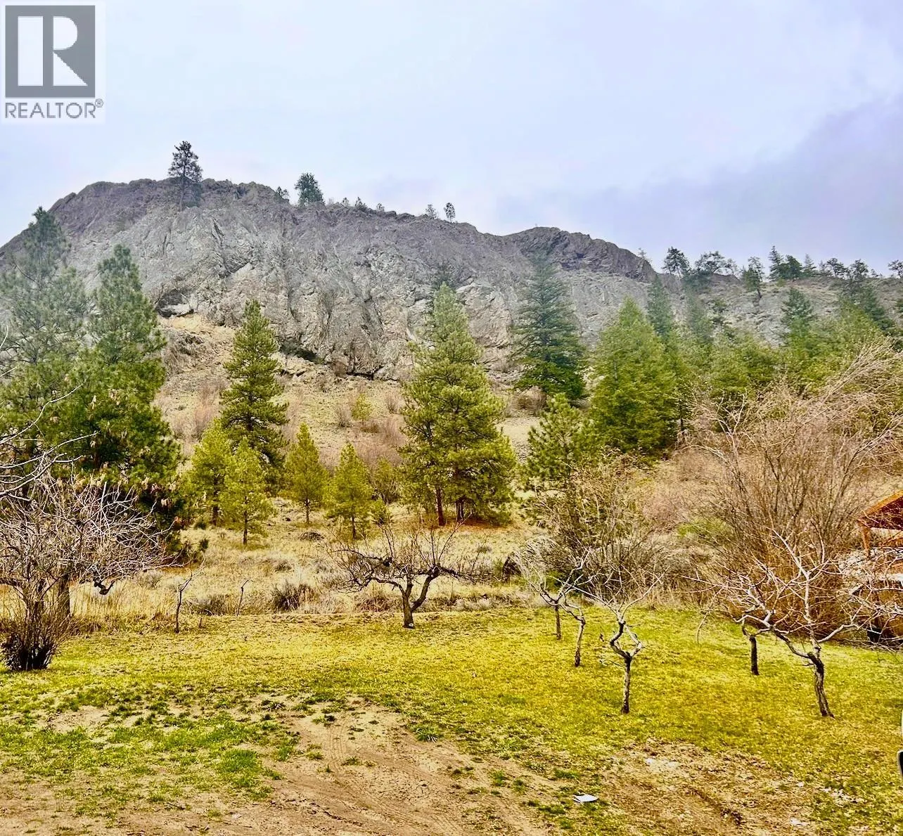 11401 Victoria Road S