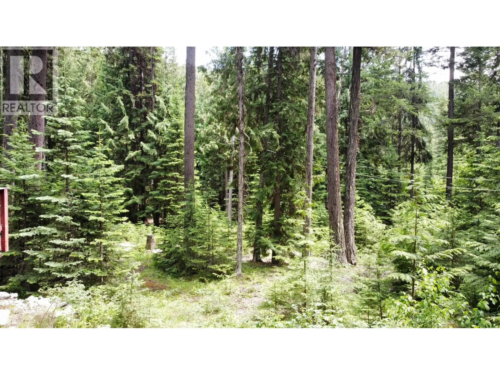 2832 Jewel Lake Road