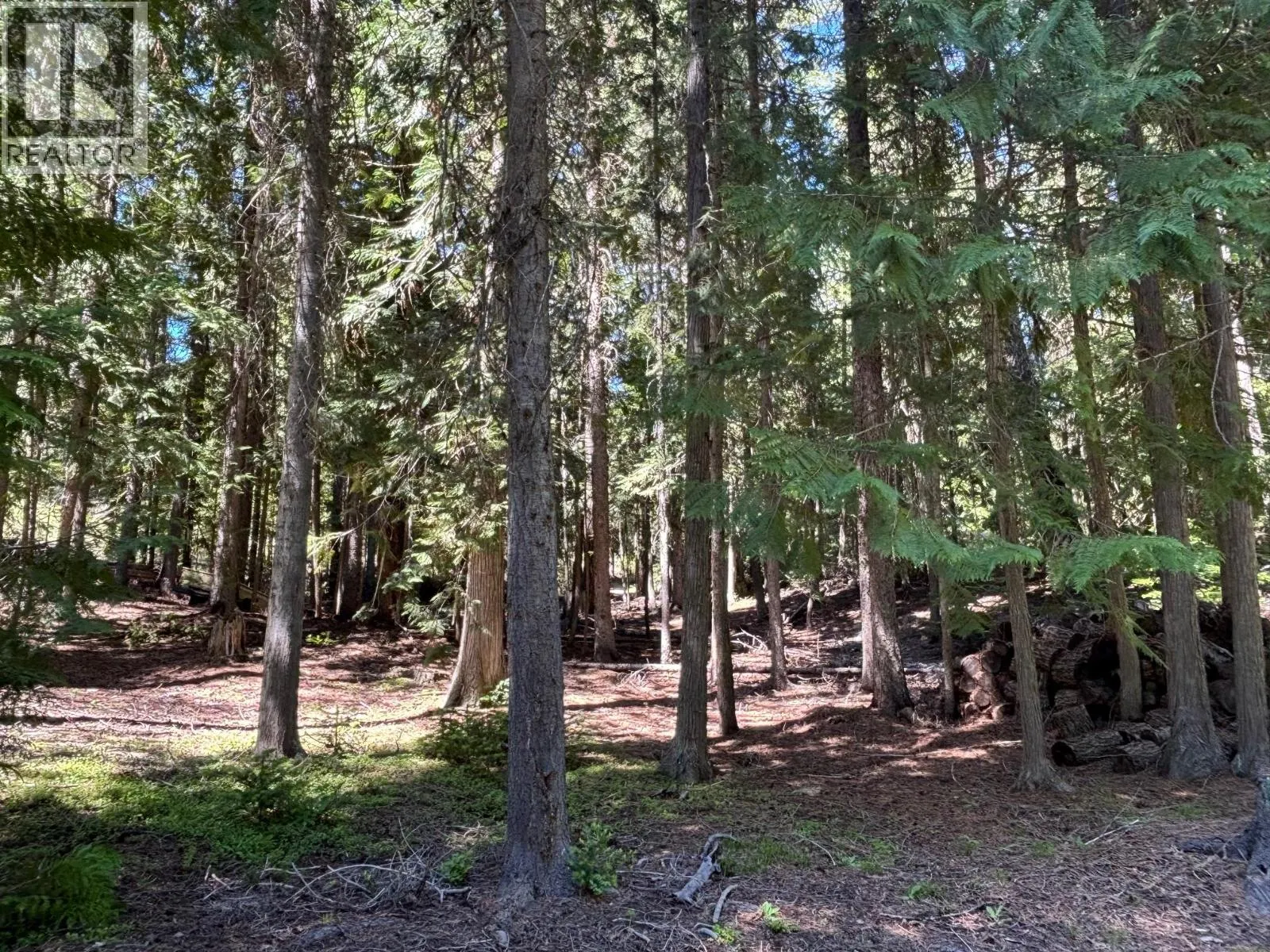 2832 Jewel Lake Road