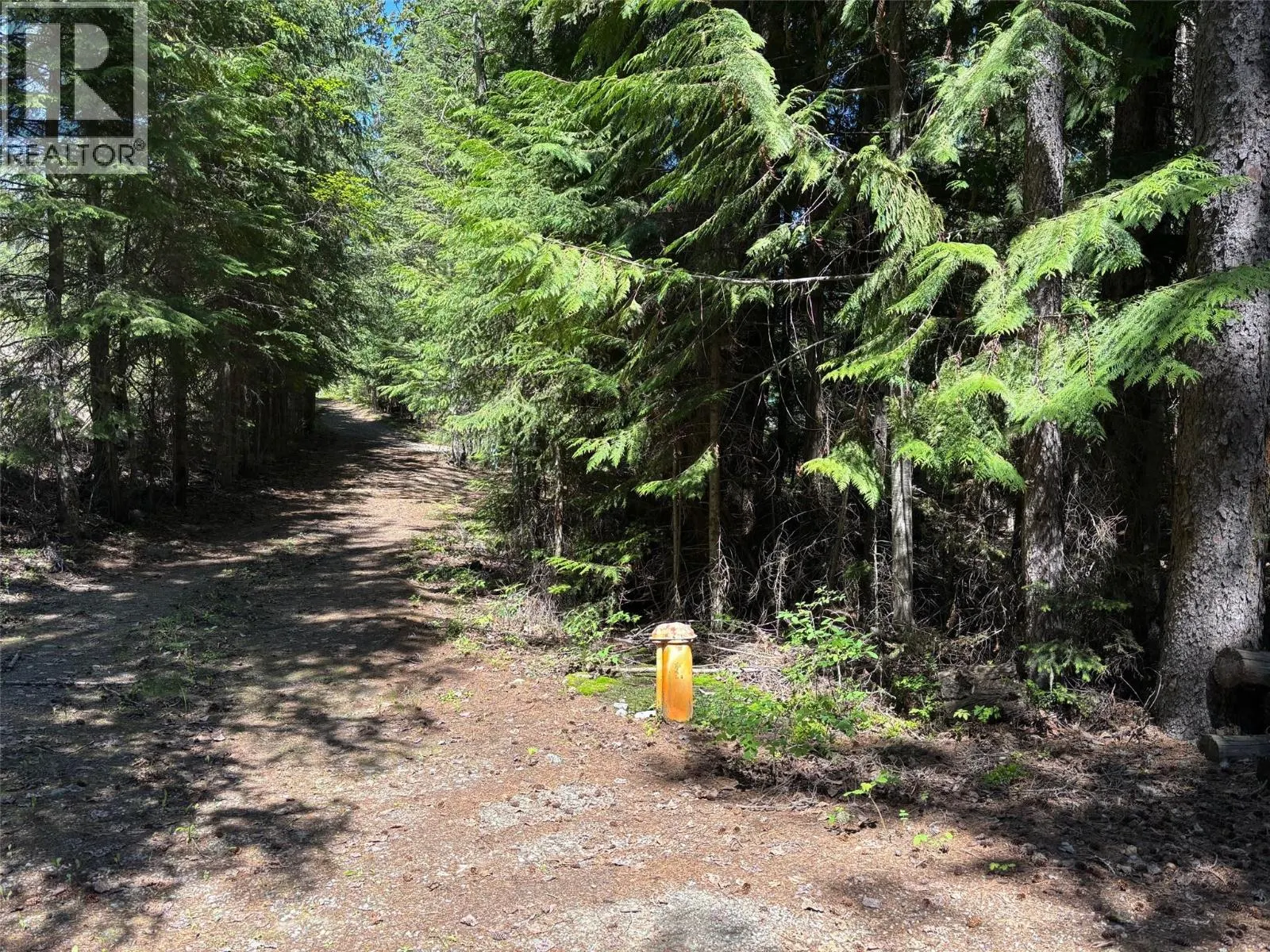 2832 Jewel Lake Road