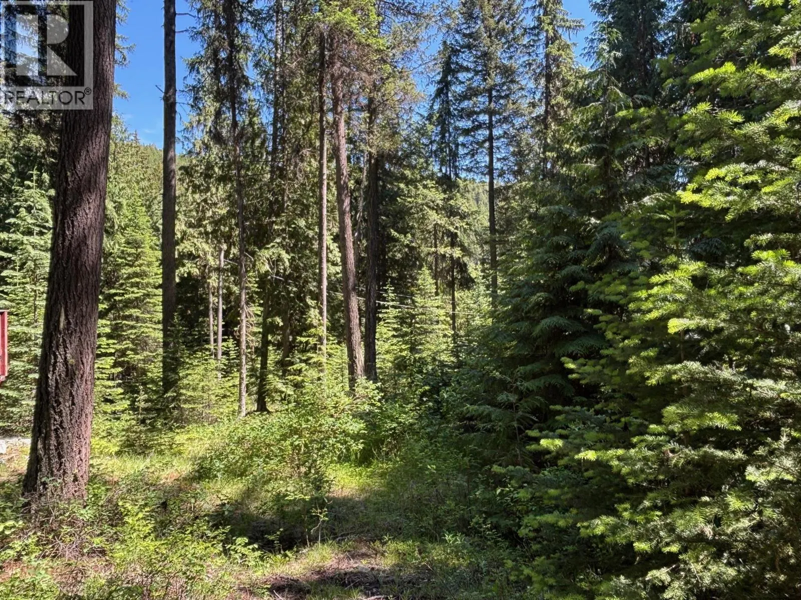 2832 Jewel Lake Road