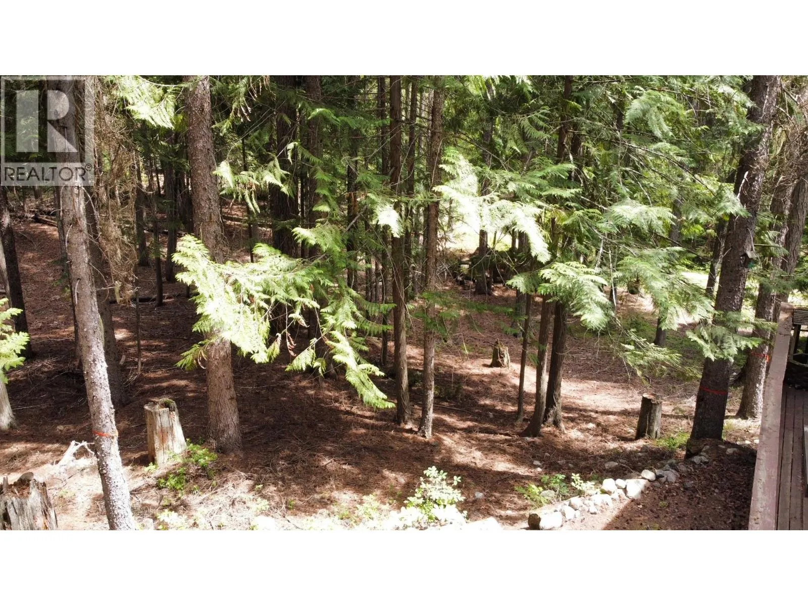 2832 Jewel Lake Road