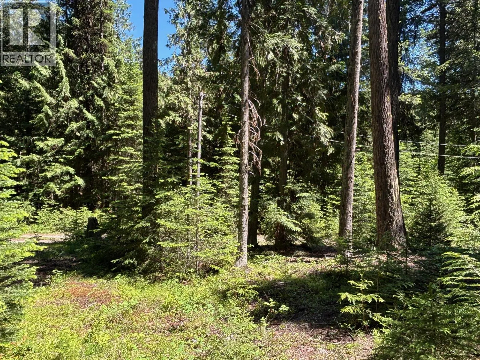 2832 Jewel Lake Road