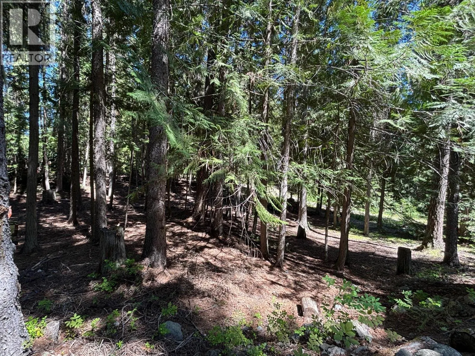 2832 Jewel Lake Road