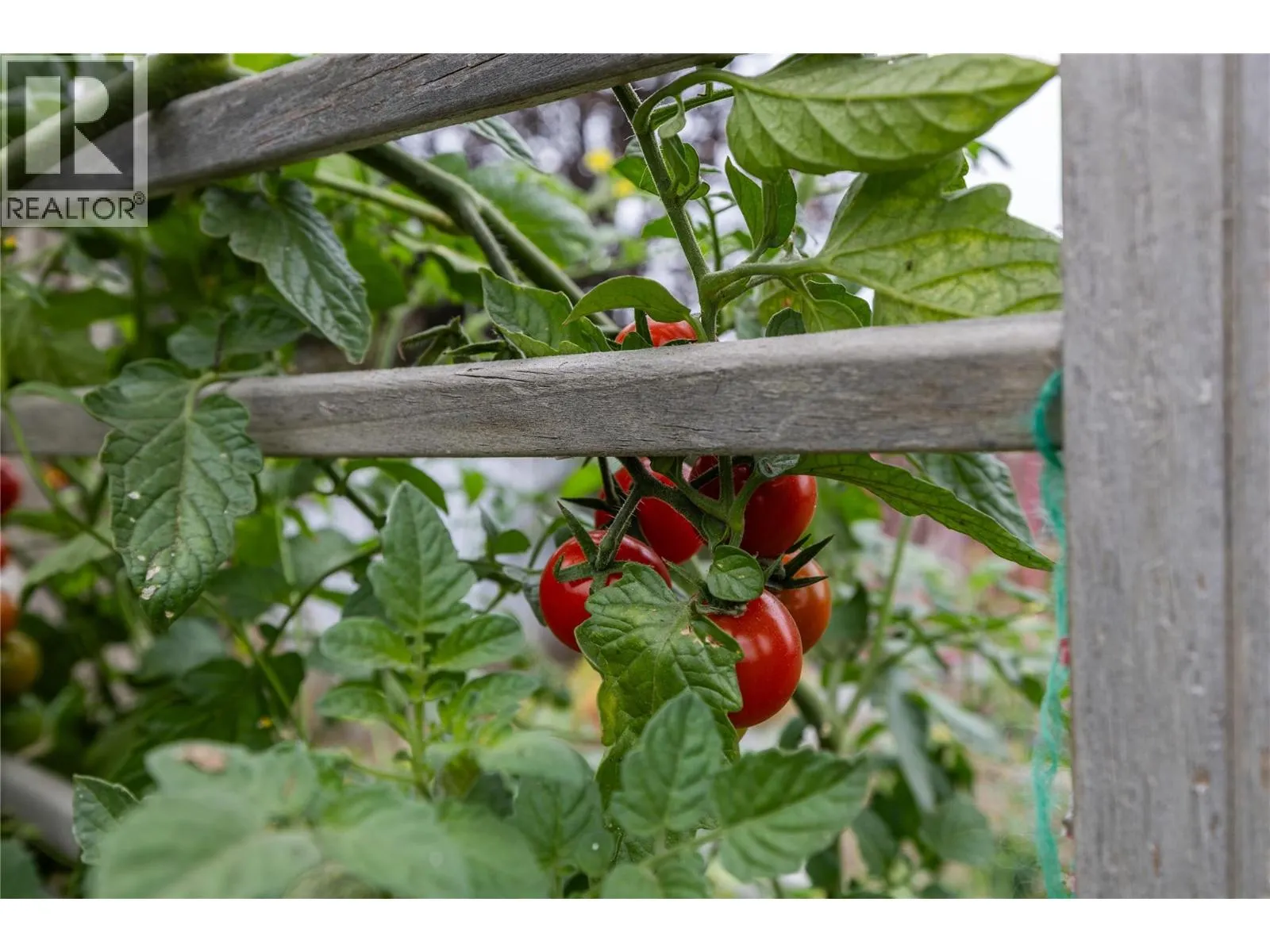 1496 TRANQUILLE Road