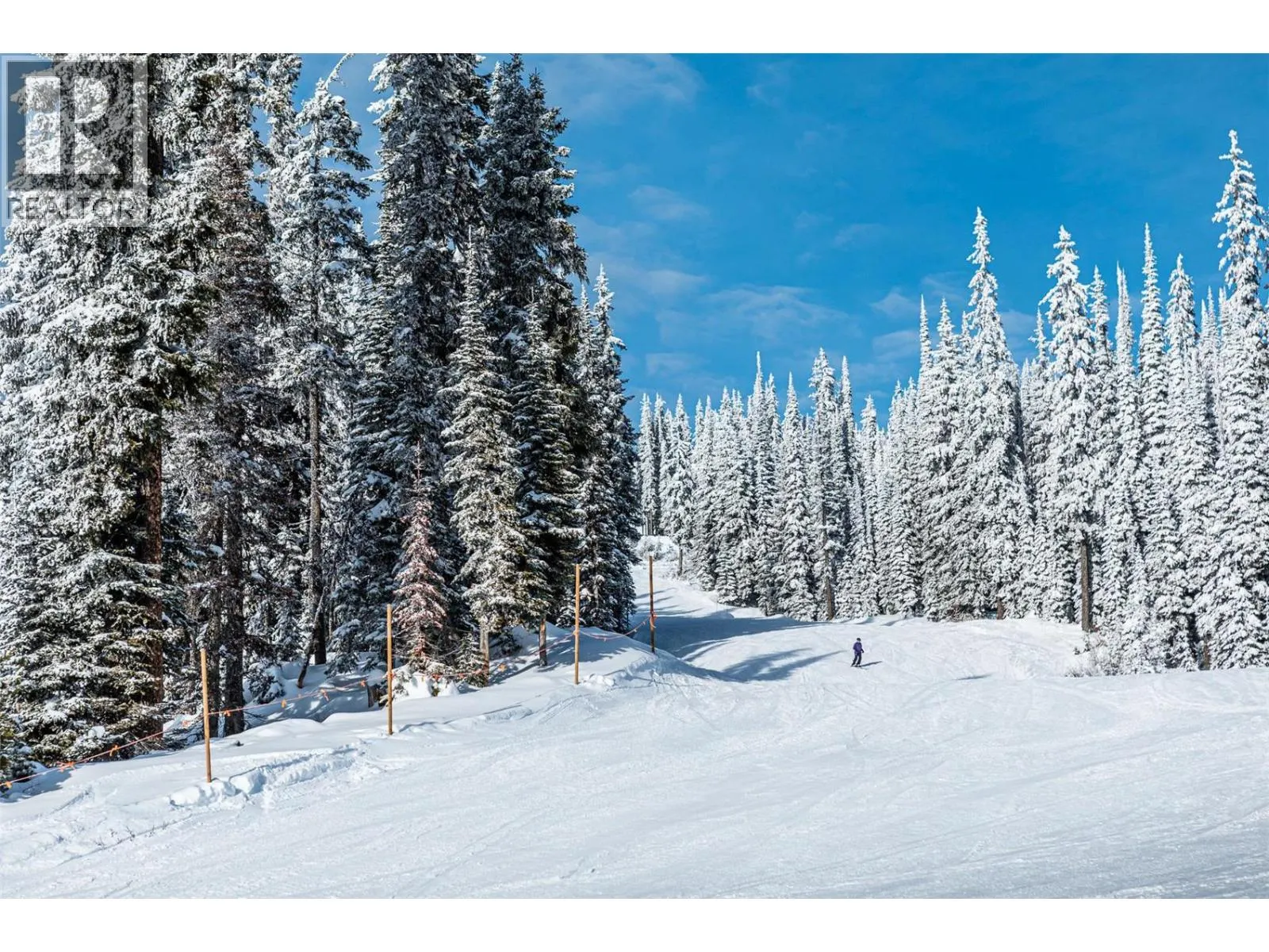 240A Grizzly Ridge Trail