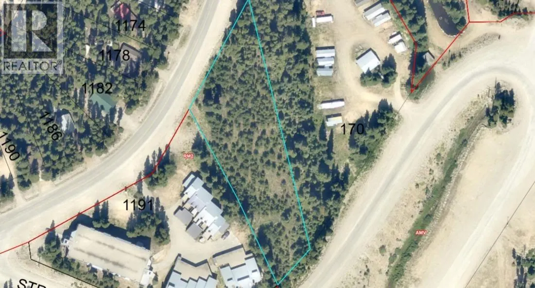 1180 APEX MOUNTAIN Road