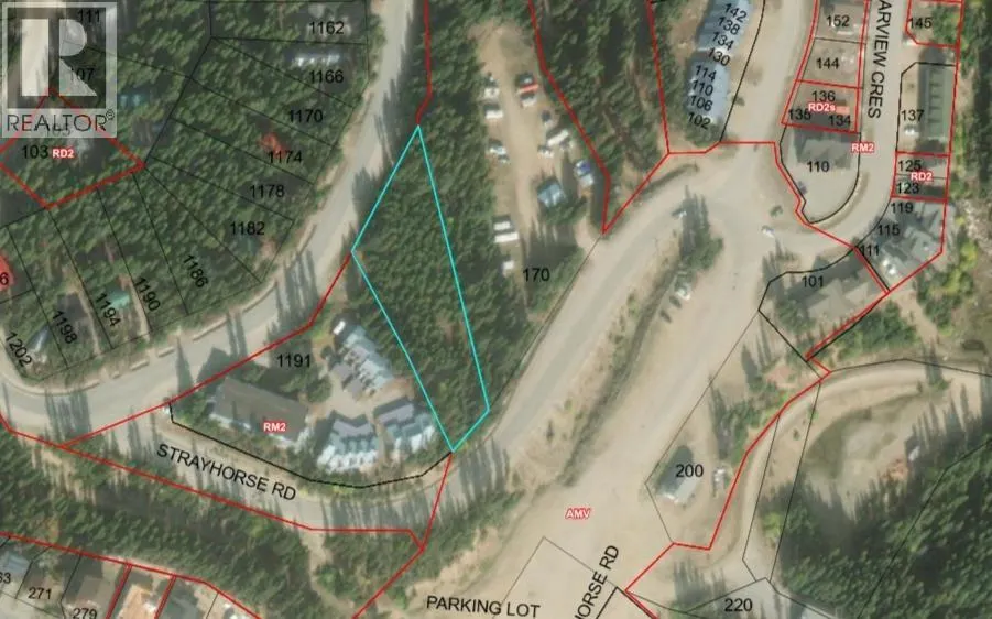 1180 APEX MOUNTAIN Road