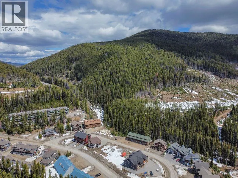 1180 APEX MOUNTAIN Road