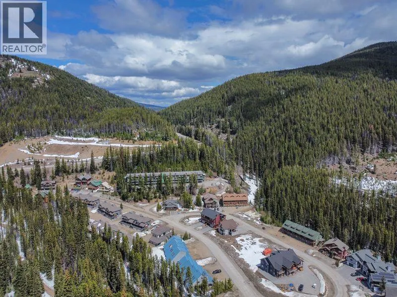 1180 APEX MOUNTAIN Road