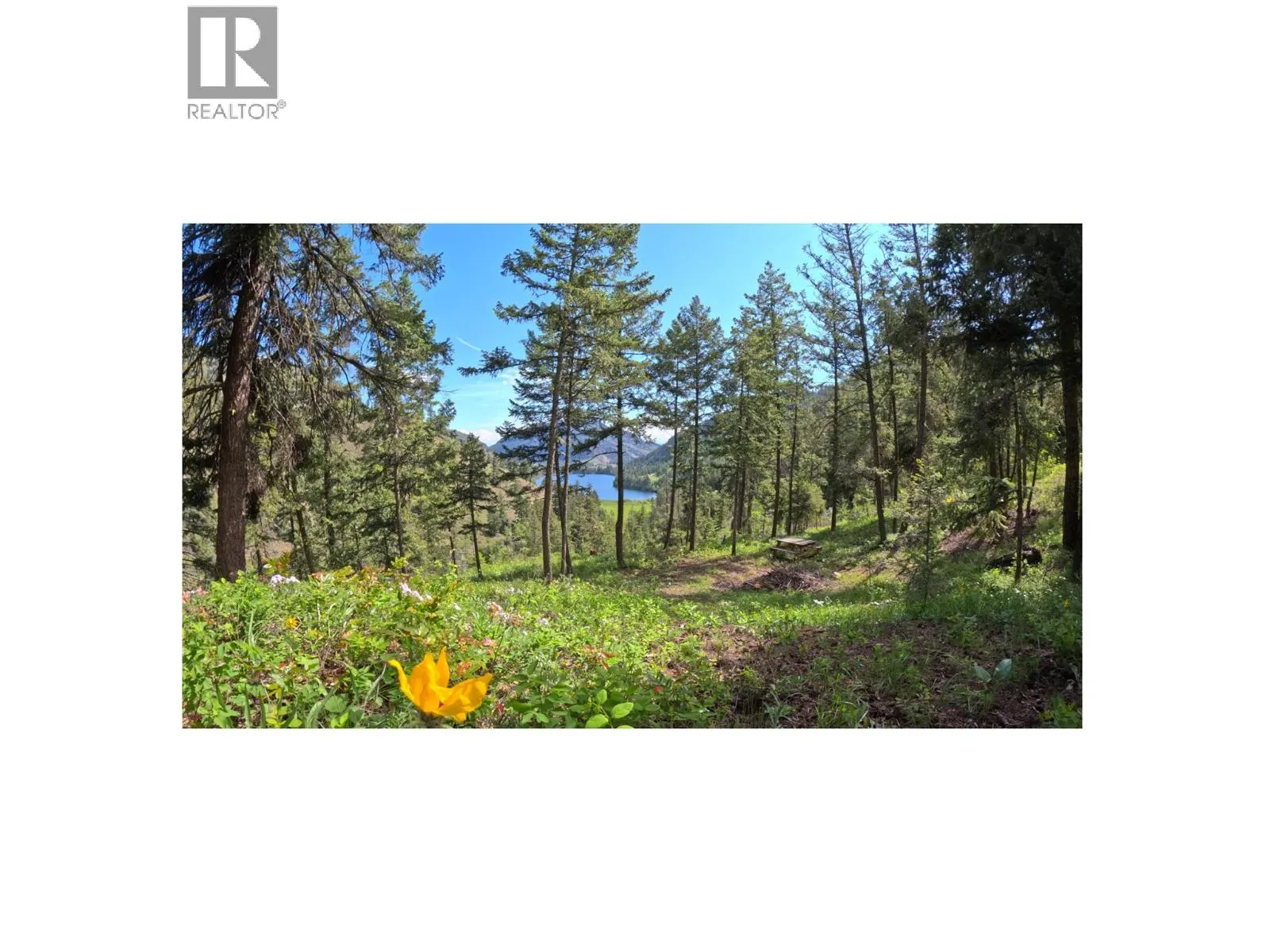 1618 White Lake Road