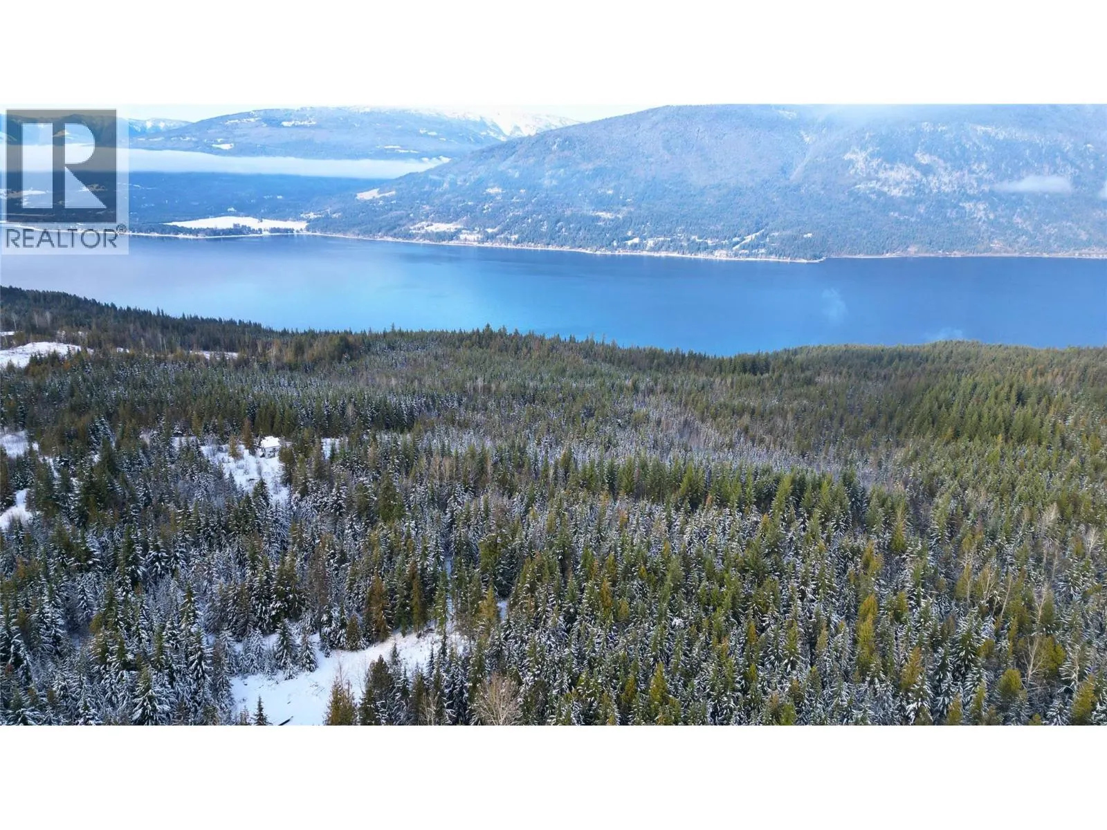 LS  16 Bastion Ivy Road