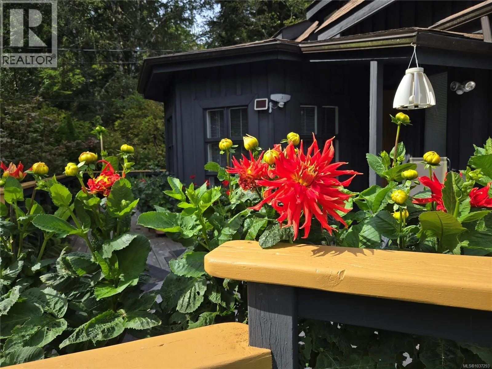 1334 Chesterman Beach Rd