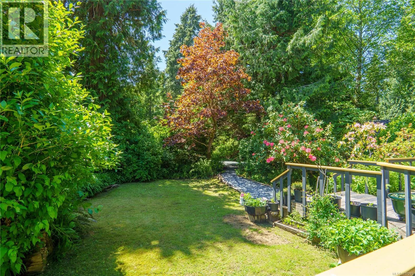 1334 Chesterman Beach Rd