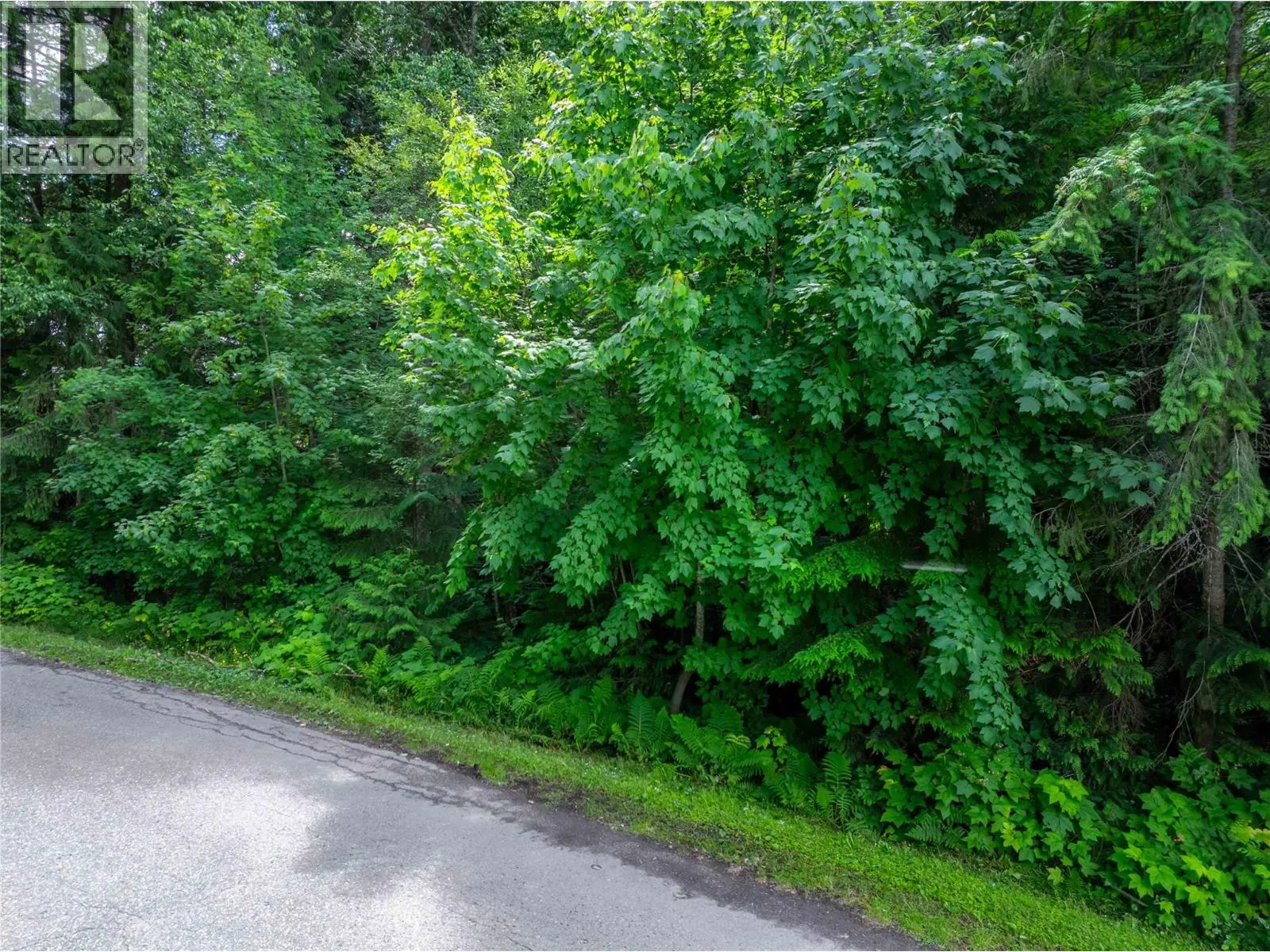 1565 Pratico Road