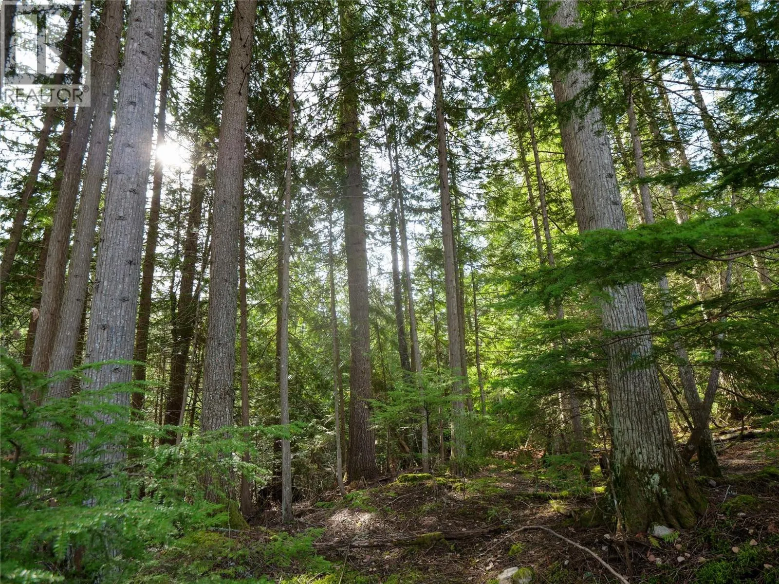 Lot 7 ANNABLE Road