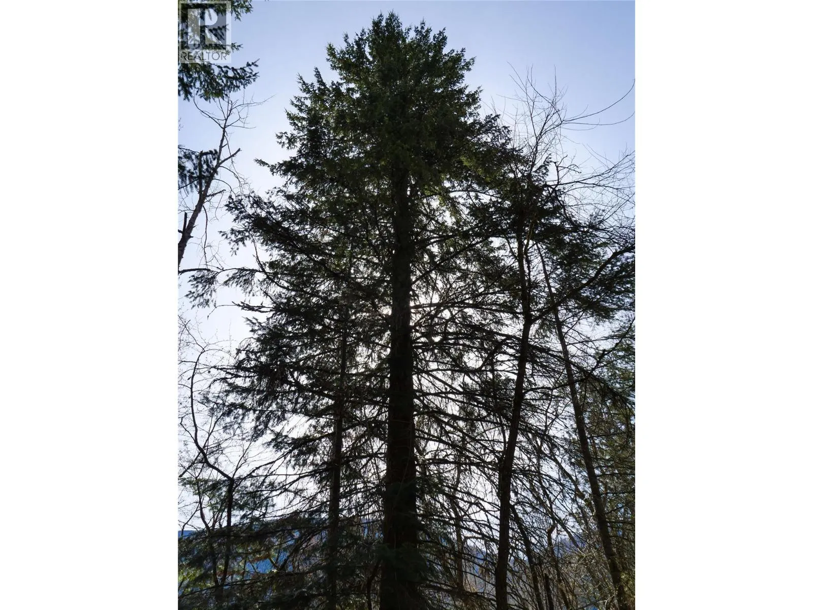 Lot 7 ANNABLE Road