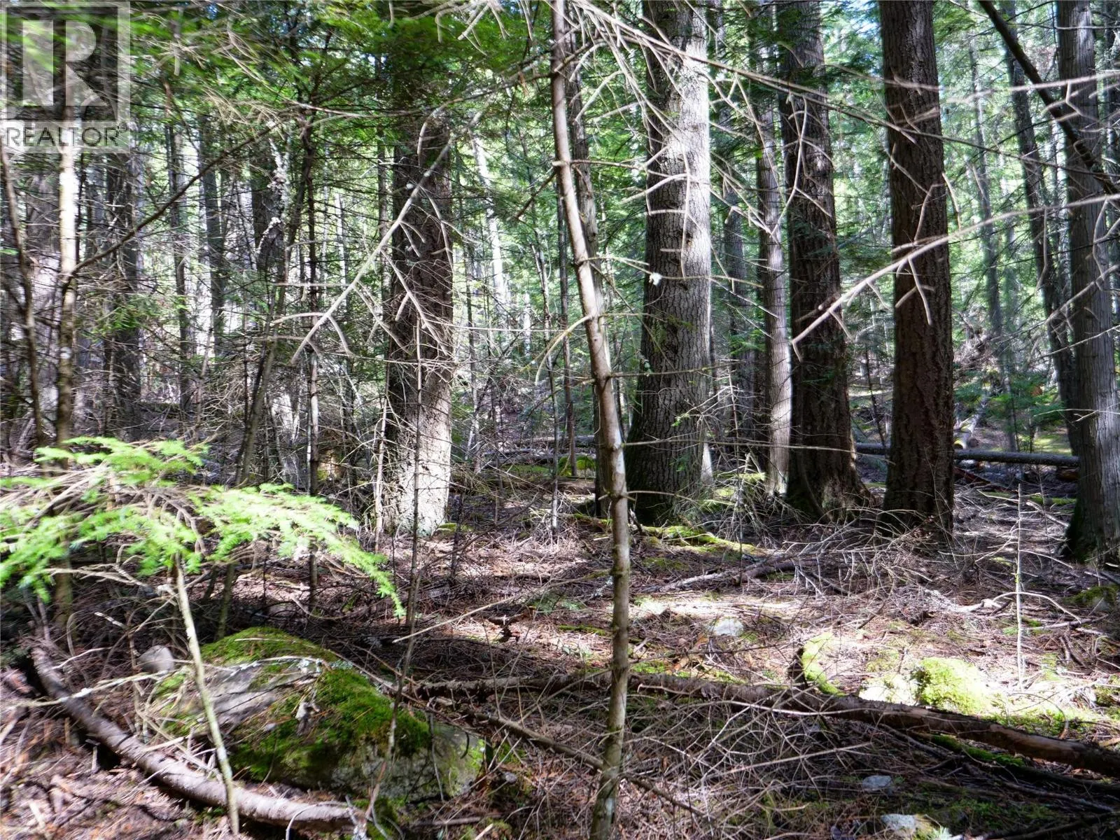 Lot 7 ANNABLE Road