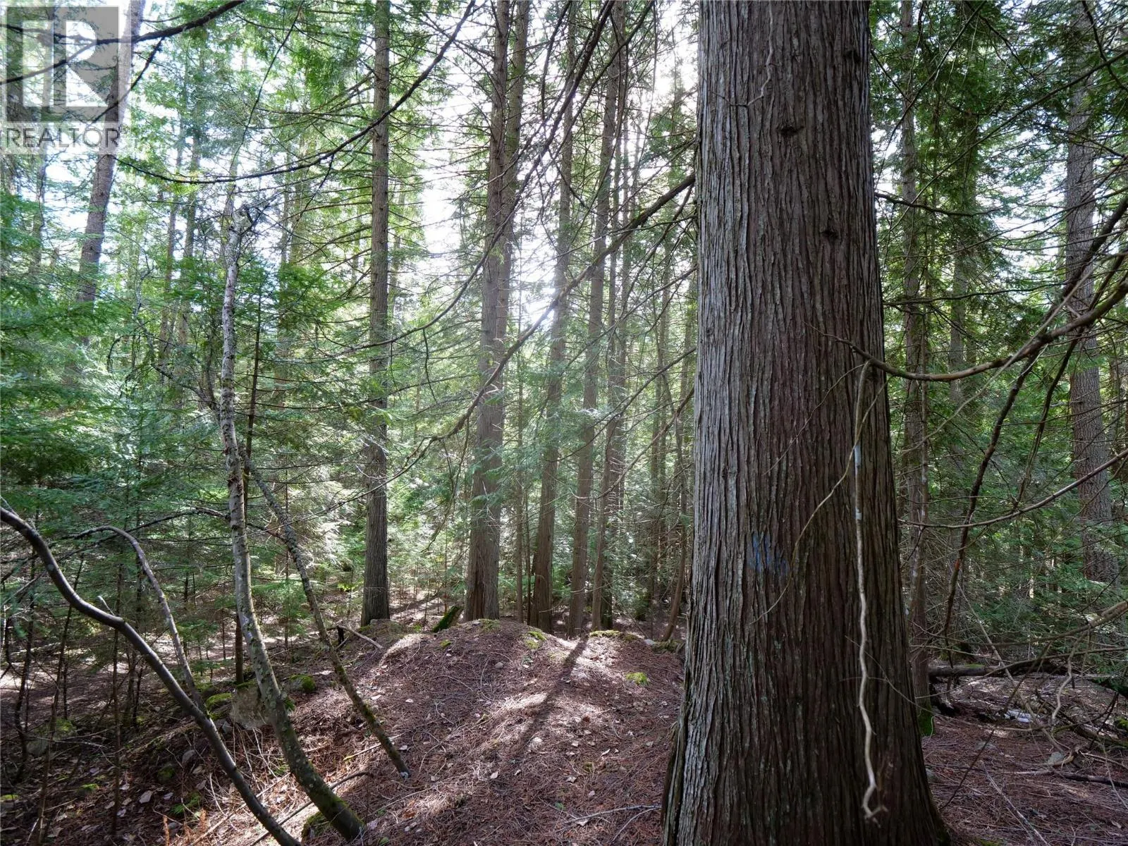 Lot 7 ANNABLE Road