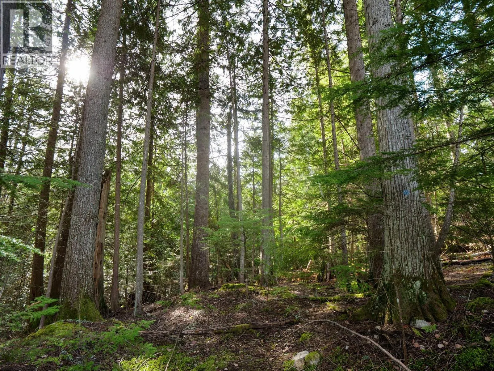 Lot 7 ANNABLE Road
