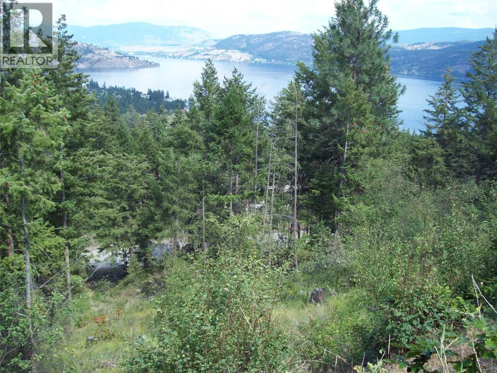 358 Mountain Drive