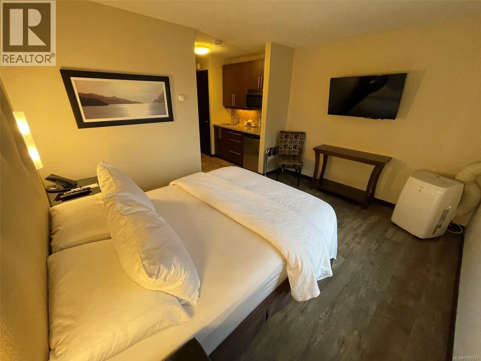 234 1175 Resort Dr