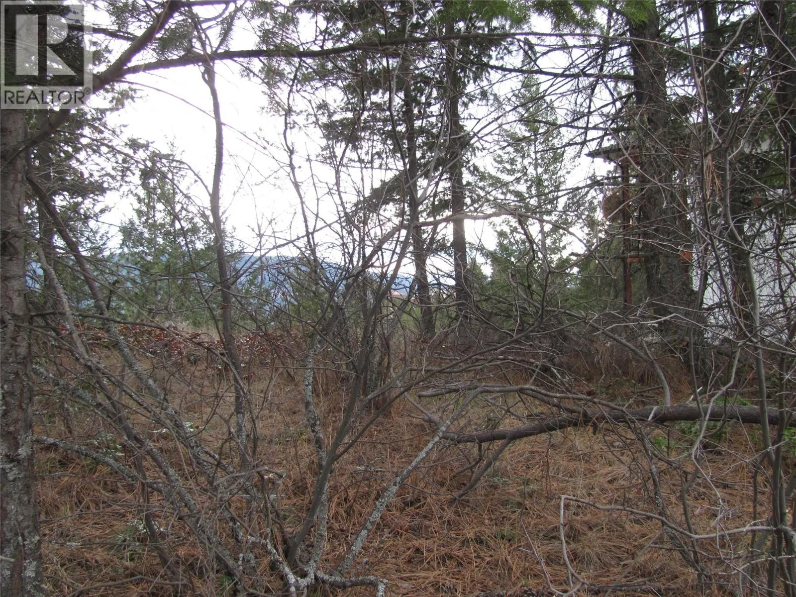Crown Crescent Lot# 252