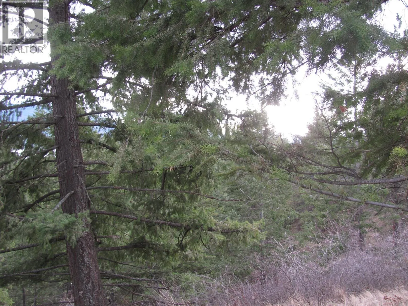 Crown Crescent Lot# 252