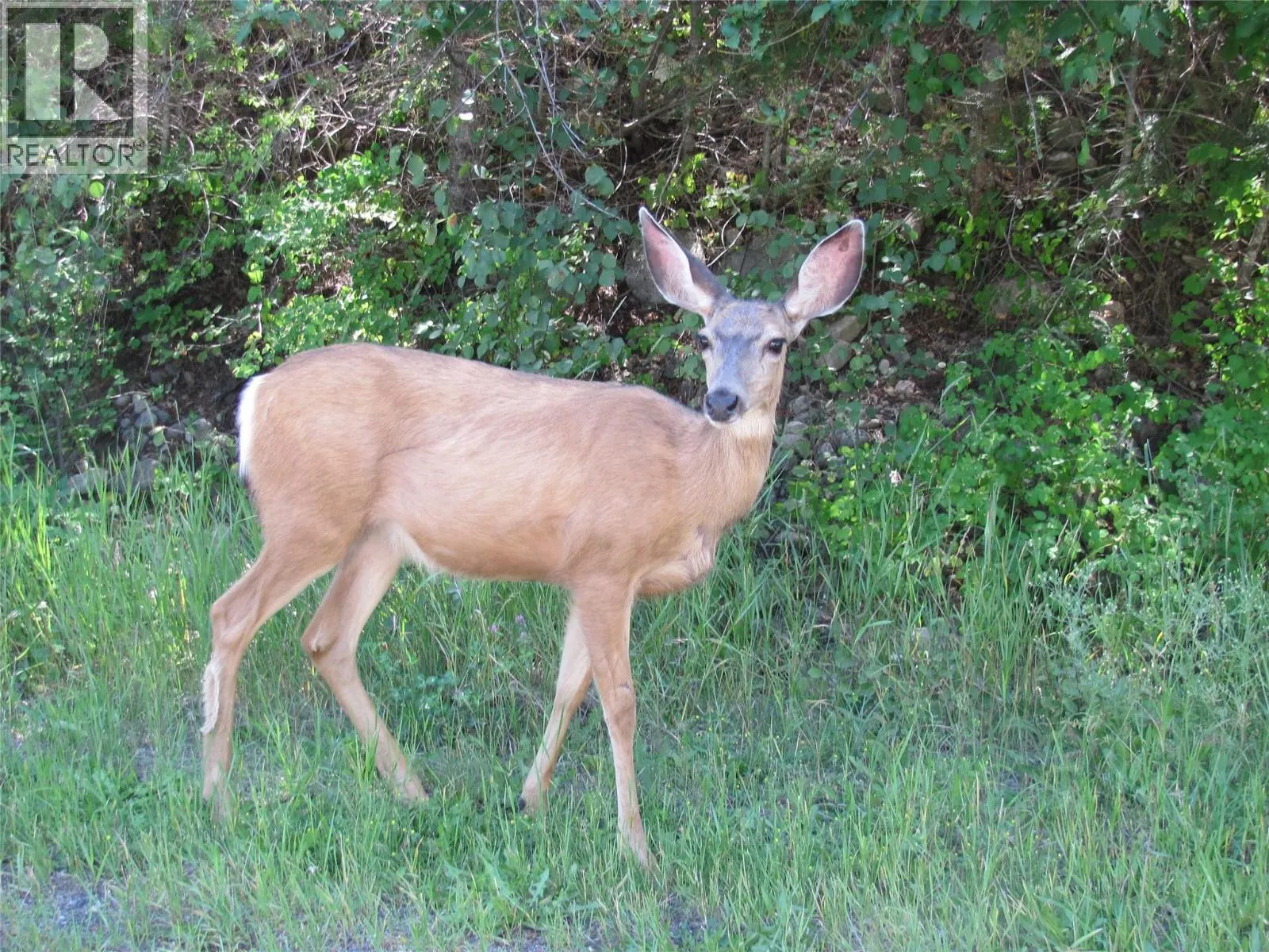 Crown Crescent Lot# 252