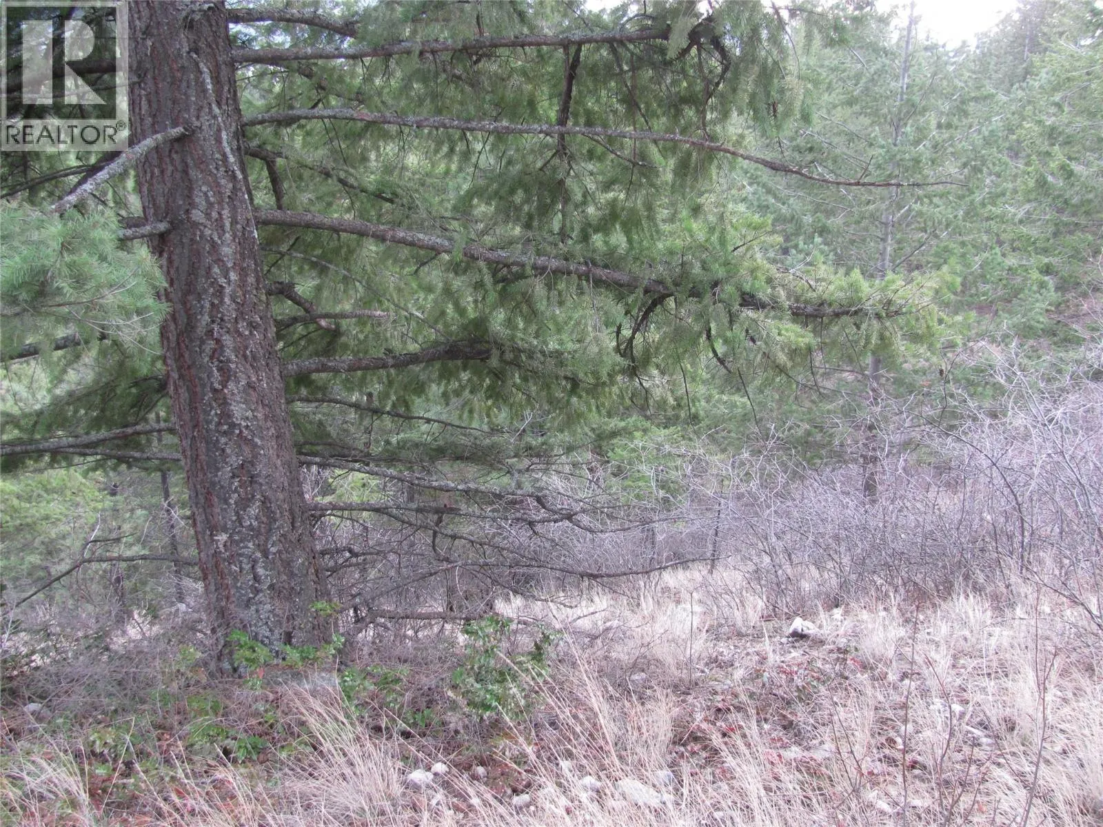 Crown Crescent Lot# 252