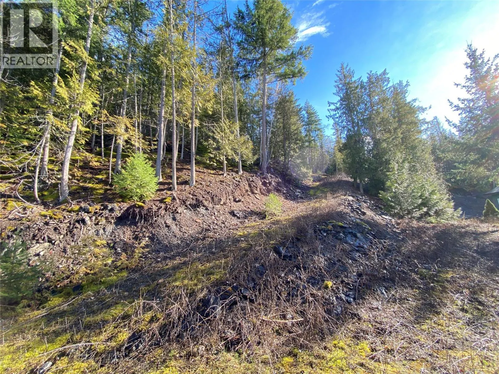 1665 Blind Bay Road