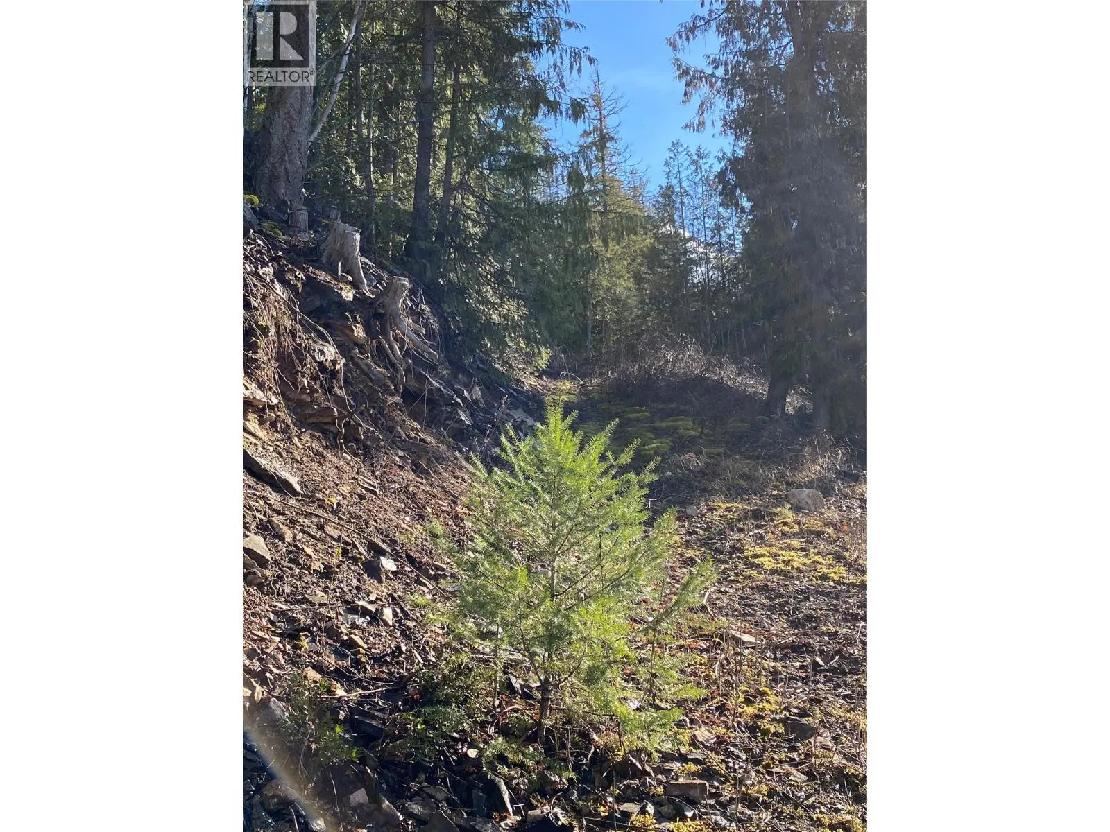 1665 Blind Bay Road