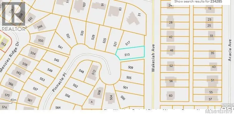 513 Pinnacle Pl