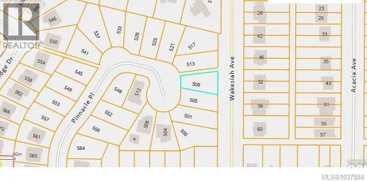 509 Pinnacle Pl