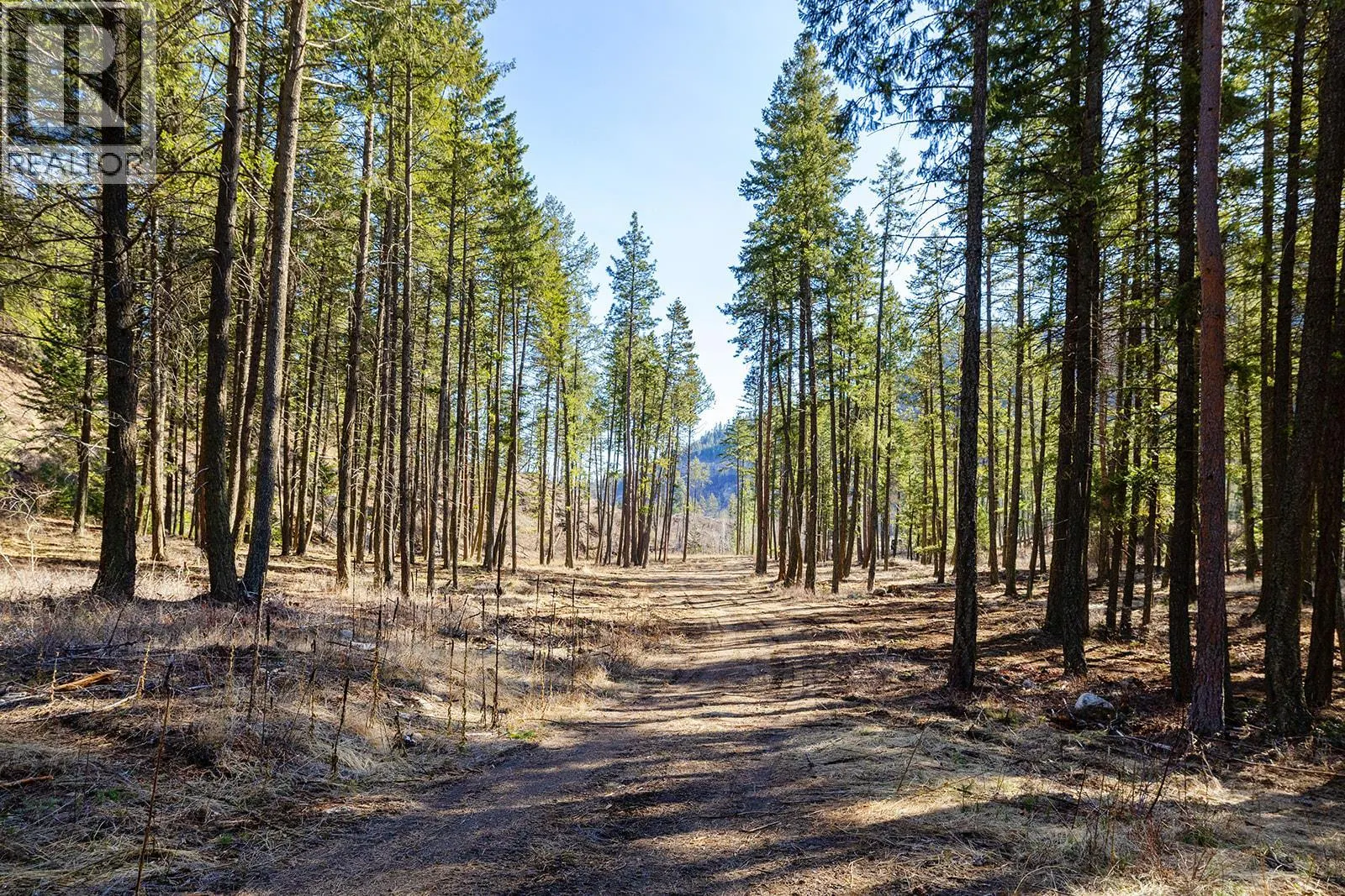 Lot B Trepanier Road