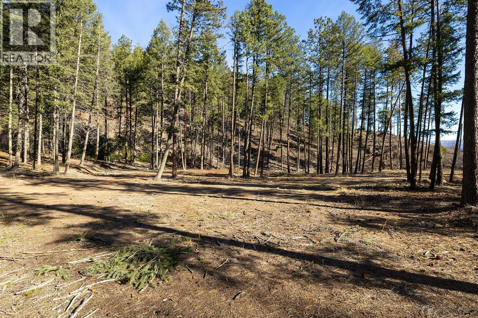 Lot B Trepanier Road