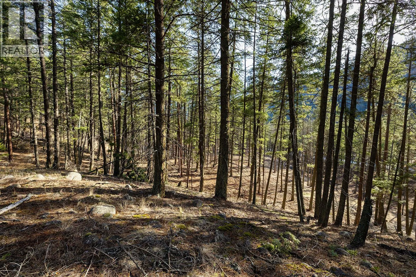 Lot A Trepanier Road